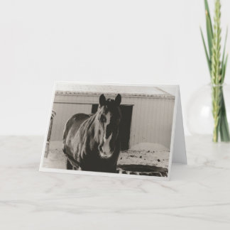 Winter Willy Feiertagskarte