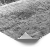 Winter Wind Poster (Ecke)