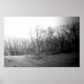 Winter Wind Poster (Vorne)