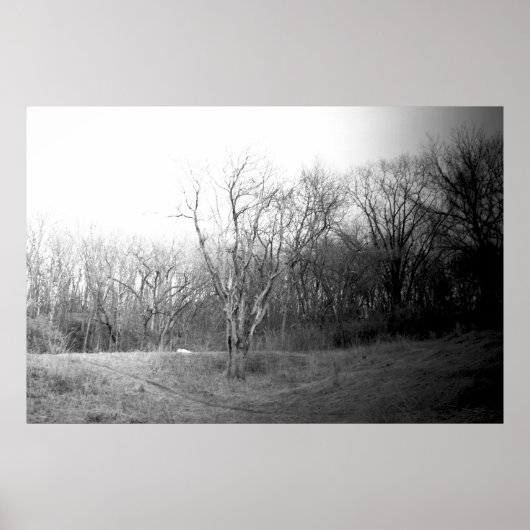 Winter Wind Poster (Vorne)