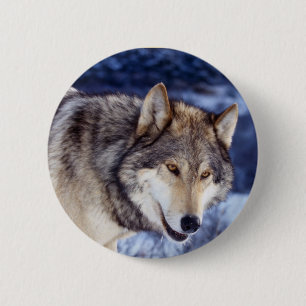 Winter Wolf 2 Button