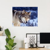 Winter Wolf 2 Poster (Heimbüro)