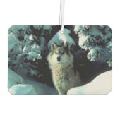 Winter Wolf Autolufterfrischer (Rückseite)
