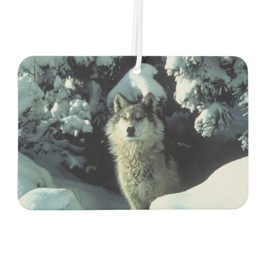 Winter Wolf Autolufterfrischer (Rückseite)
