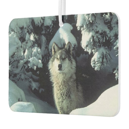 Winter Wolf Autolufterfrischer (Links)