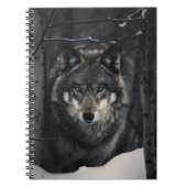 Winter Wolf Blick Notizblock (Vorderseite)