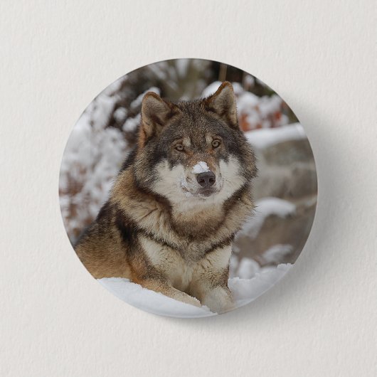 Winter Wolf Button (Vorderseite)