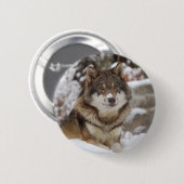 Winter Wolf Button (Vorne & Hinten)