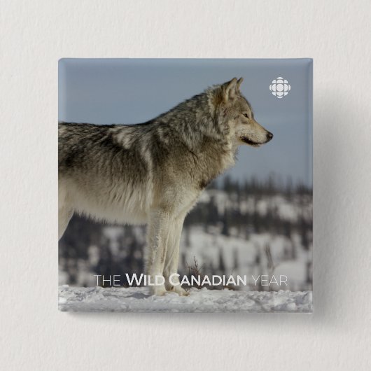 Winter - Wolf Button (Vorderseite)