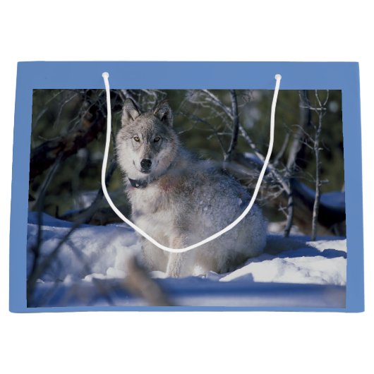 Winter Wolf Große Geschenktüte (Vorderseite)