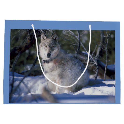 Winter Wolf Große Geschenktüte (Rückseite)