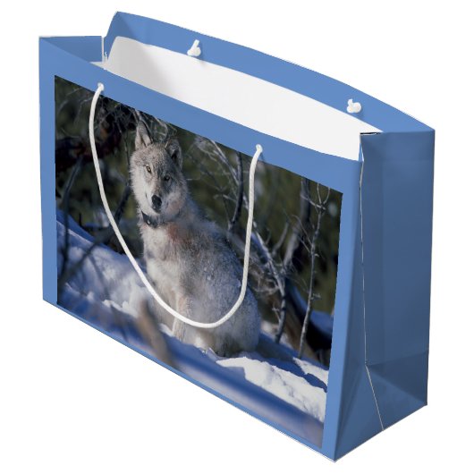 Winter Wolf Große Geschenktüte (Rückseite Schrägansicht)