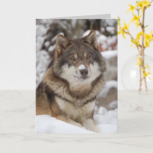 Winter Wolf Karte (Gelbe Blume)