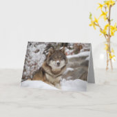 Winter Wolf Karte (Gelbe Blume)