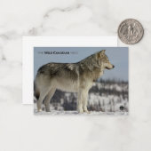 Winter - Wolf Mitteilungskarte (Vorderseite/Rückseite Beispiel)