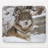 Winter Wolf Mousepad (Vorne)