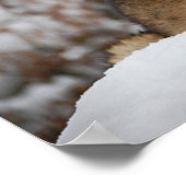 Winter Wolf Poster (Ecke)