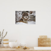 Winter Wolf Poster (Küche)