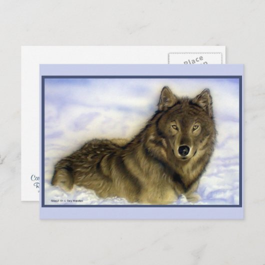 Winter Wolf Postkarte (Vorne/Hinten)