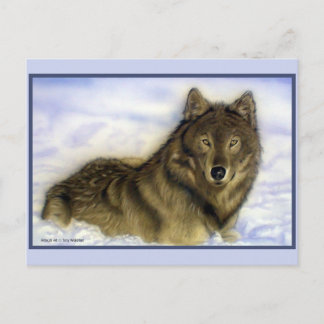 Winter Wolf Postkarte