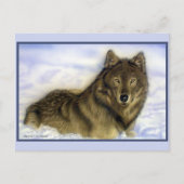 Winter Wolf Postkarte (Vorderseite)