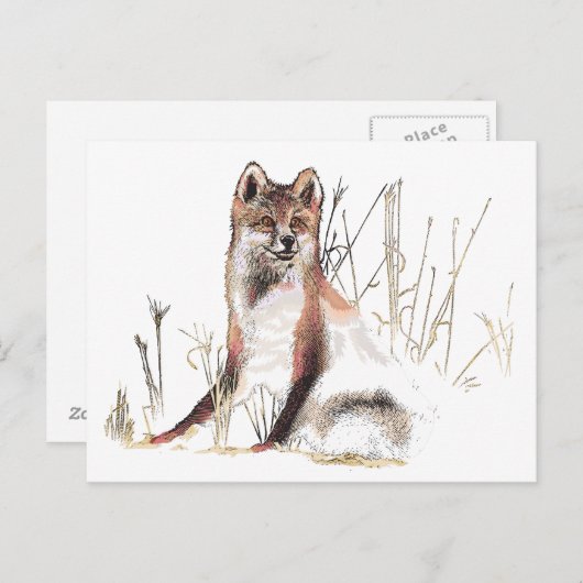 Winter Wolf Postkarte (Vorne/Hinten)