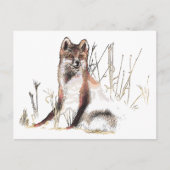 Winter Wolf Postkarte (Vorderseite)