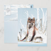 Winter Wolf Postkarte (Vorne/Hinten)