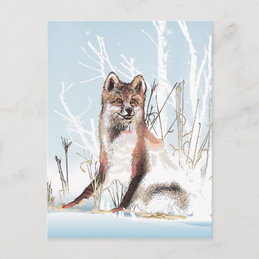 Winter Wolf Postkarte (Vorderseite)
