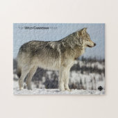 Winter - Wolf Puzzle (Horizontal)