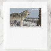 Winter - Wolf Rechteckiger Aufkleber (Tasche)