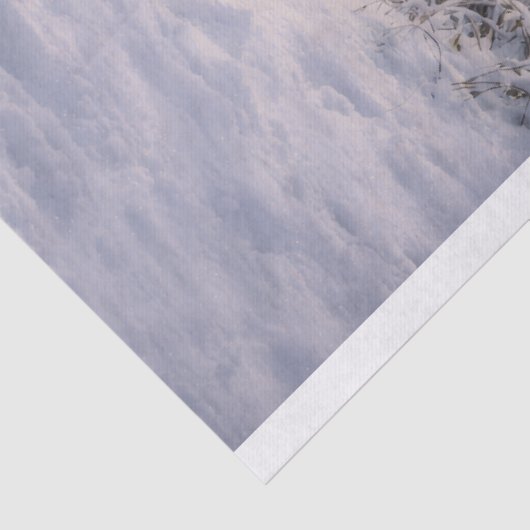 Winter Wolf Seidenpapier (Ausschnitt)