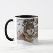 Winter Wolf Tasse (Links)