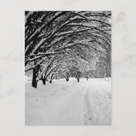 WINTER WONDER POSTKARTE