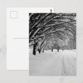 WINTER WONDER POSTKARTE (Vorne/Hinten)