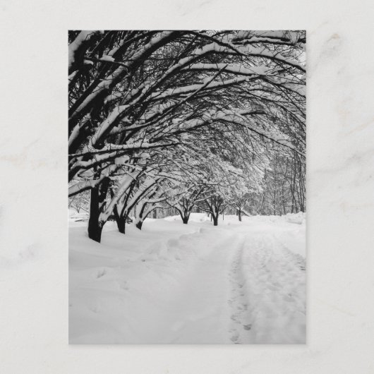WINTER WONDER POSTKARTE (Vorderseite)