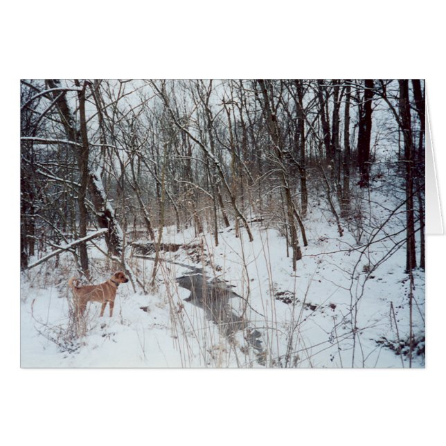 Winter Wonderland (Vorderseite (Horizontal))