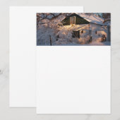 Winter Wonderland (Vorne/Hinten)