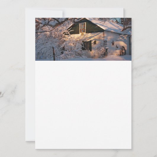 Winter Wonderland (Vorderseite)