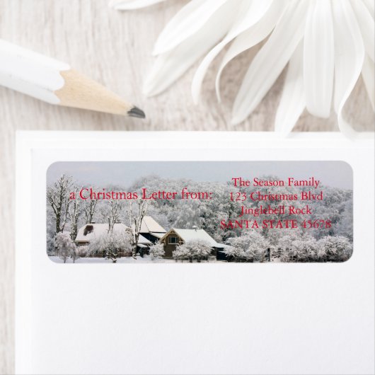 Winter Wonderland (Insitu)