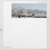 Winter Wonderland (Vorne/Hinten)