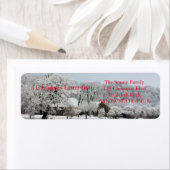 Winter Wonderland (Insitu)