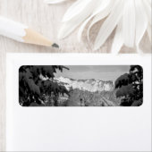 Winter Wonderland (Insitu)