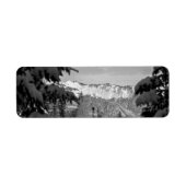 Winter Wonderland (Vorne)