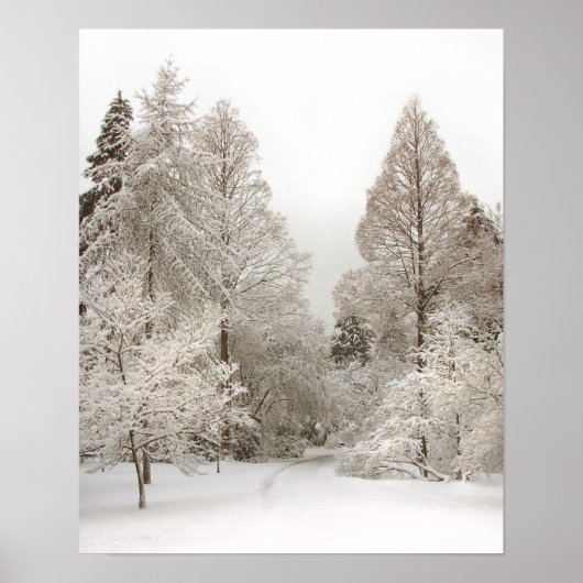 Winter Wonderland Art Print Winter Foster Poster (Vorne)