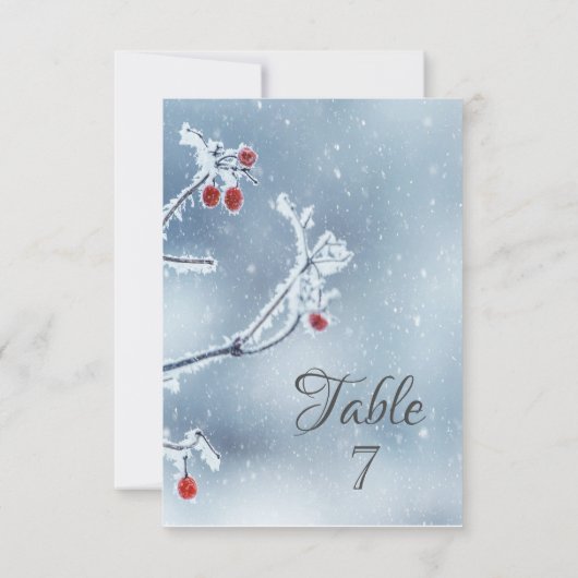 Winter Wonderland Branches Blue Einladung (Rückseite)