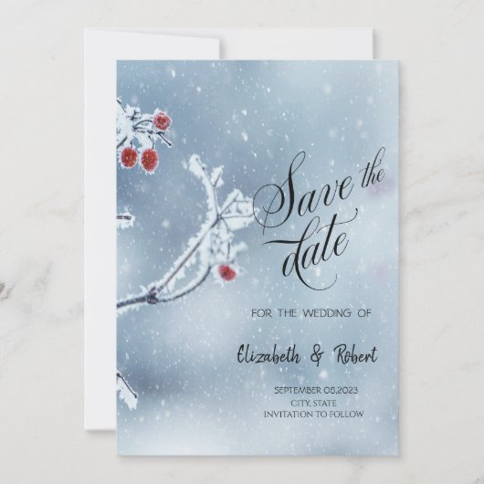 Winter Wonderland Branches Blue Save the Date (Vorderseite)