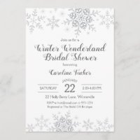Winter Wonderland Brautparty Silver Snowflakes