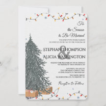 Winter Wonderland Christmas Wedding