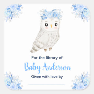 Winter Wonderland Eulen-Baby-Shower-Exlibris Quadratischer Aufkleber